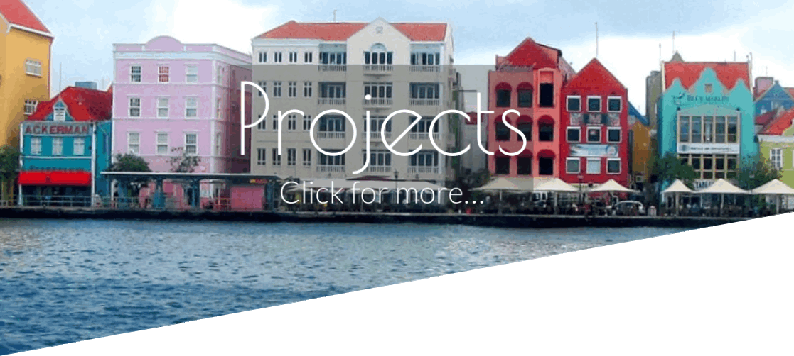 Projects Page Header